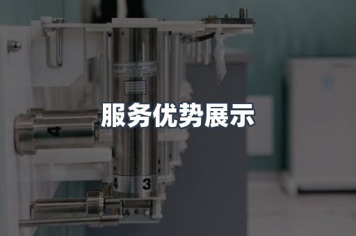 服务优势展示